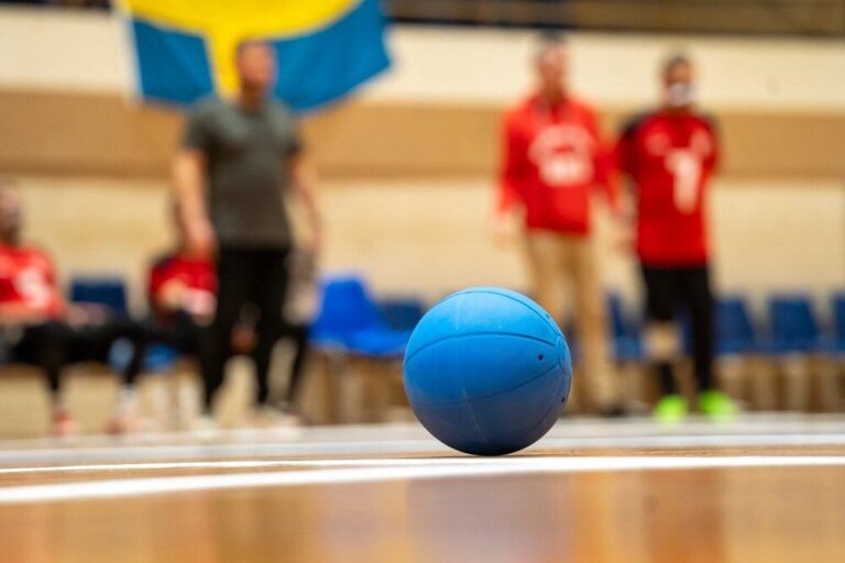 Aleksinac domaćin kvalifikacija za Ligu šampiona u golbalu